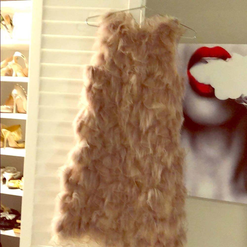 Christian Dior Fox dress. Pale pink. Sleeveless